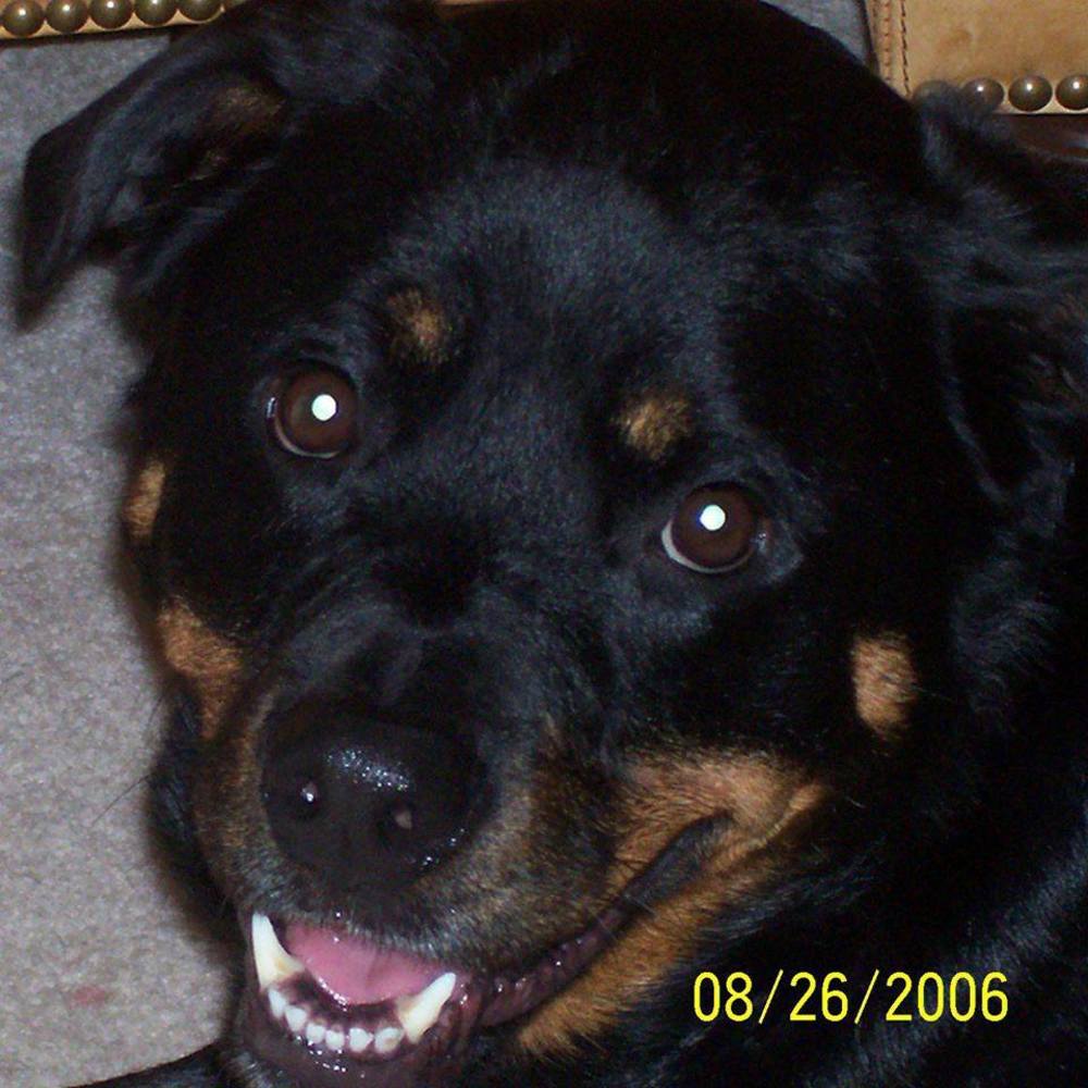 Meet your Posher, Michael